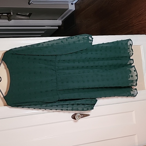 NWT Dotted Swiss Dress - Picture 4 of 4